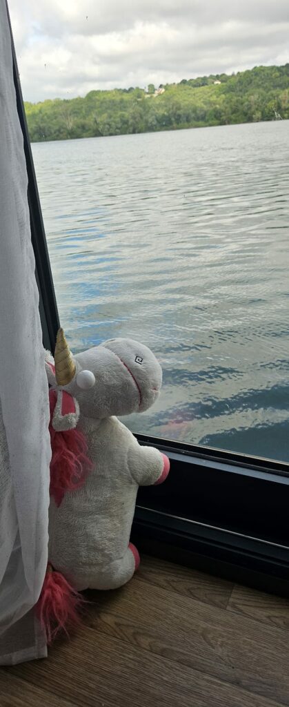 Cap'tain Licorne