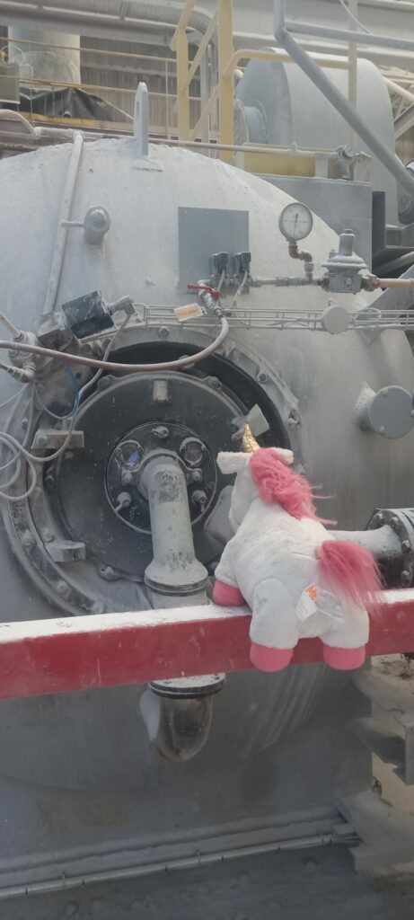 Licorne au four