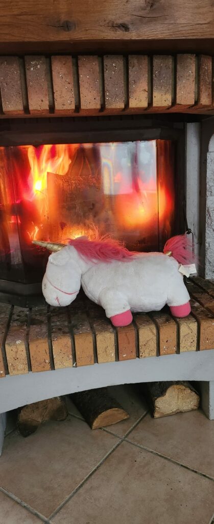 Licorne au chaud